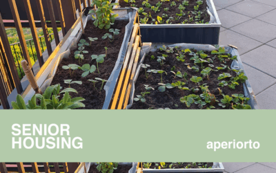 Progetto Gold & Crescere insieme: un orto per coltivare relazioni